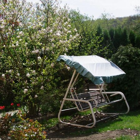 Rajna Vendeghaz Villa Bogács Екстериор снимка