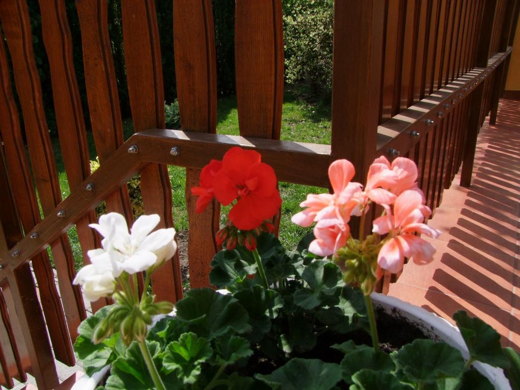 Rajna Vendeghaz Villa Bogács Екстериор снимка